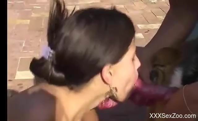 Compilation of passionate bestiality with deepthroating
