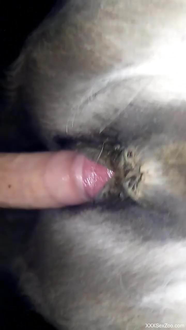 Dude with an uncut dick fucking a submissive animal