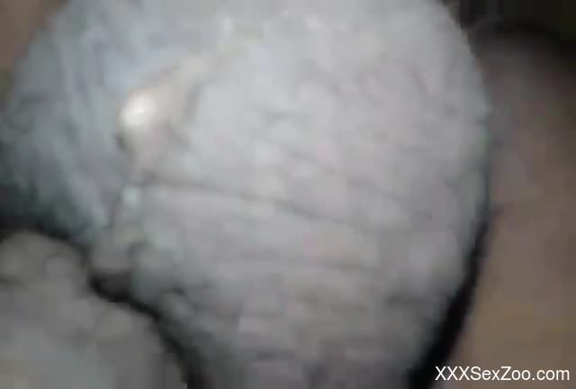 Dude's tight butt gets ravaged by a really horny beast