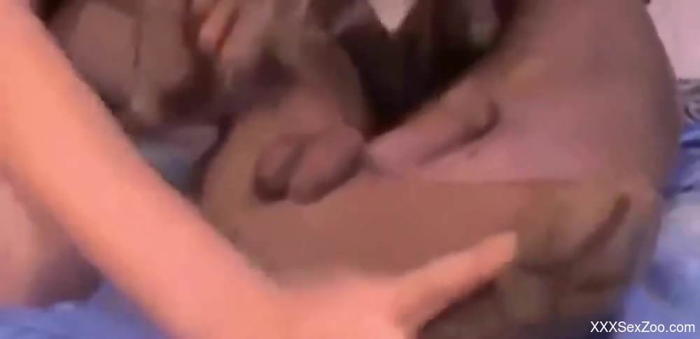 Fun-loving zoophile in a hat fucks a very sexy animal