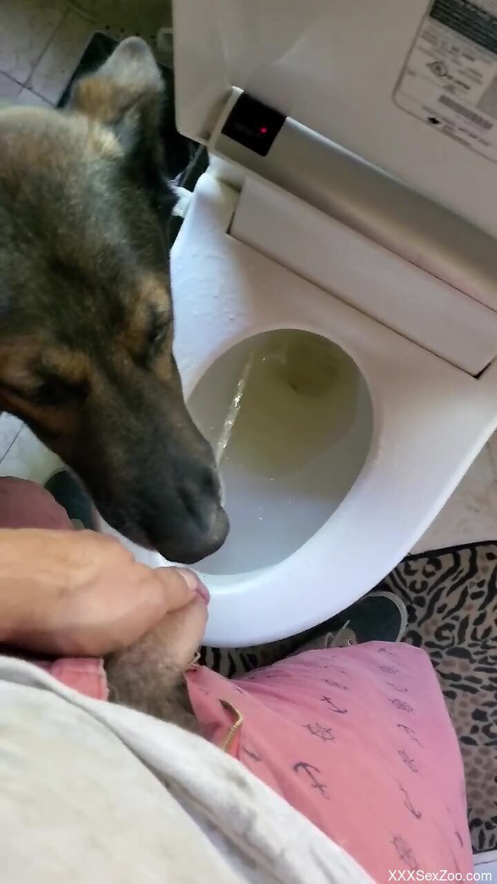 Dog drinks owner's piss in slutty cam scenes