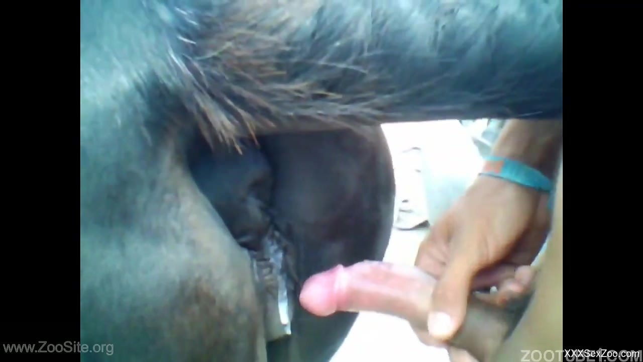 Dude's hairy cock is ready to creampie every beast