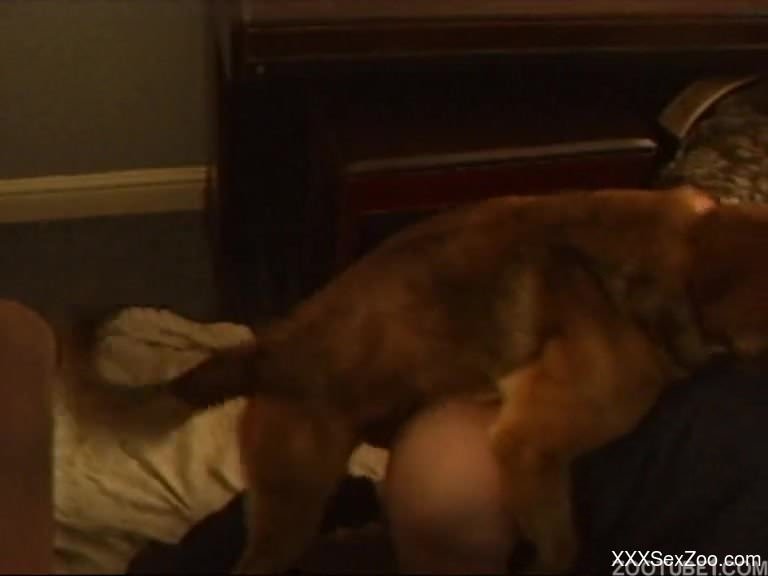 Good trained beast nailed my skinny wife in her lovely doggy style pose