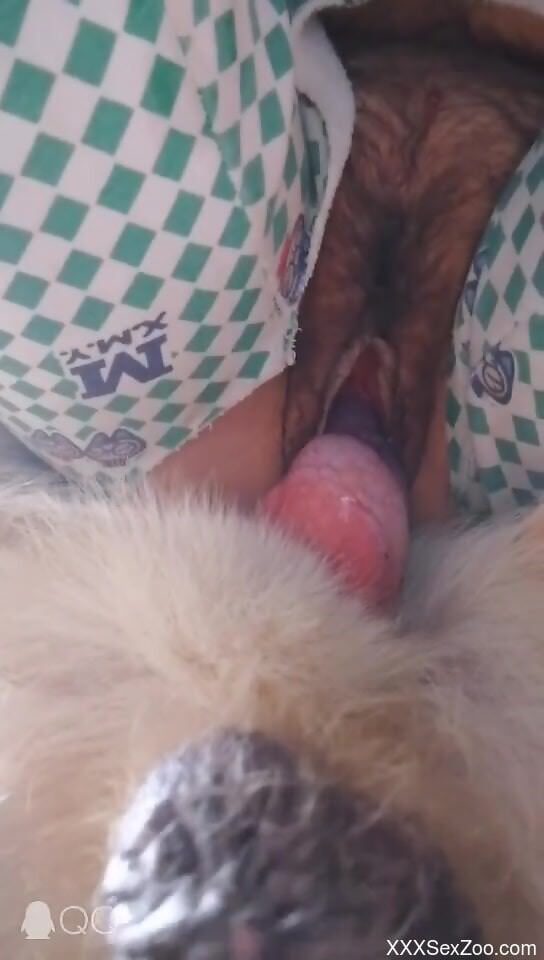 Fine woman gets her pussy slammed well by the dog