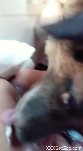 Sexy creature seeks out horny pussies in free XXX