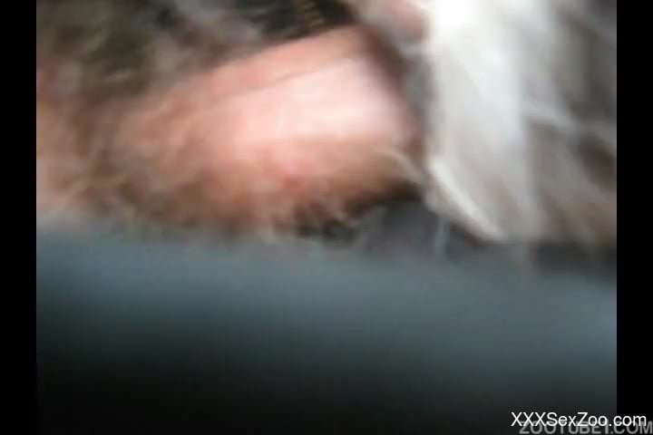 Depraved young man receives pleasure from sex with animals