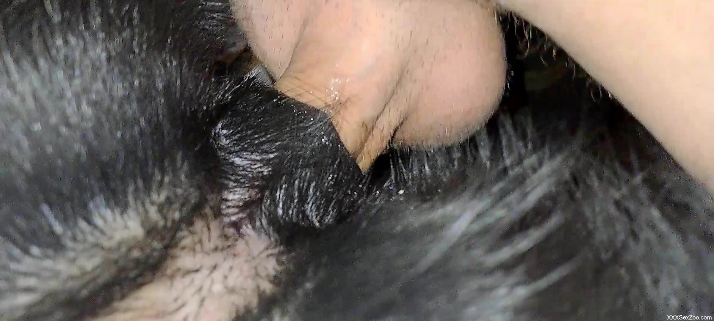 Guy's hard cock is going to pleasure that wet slit