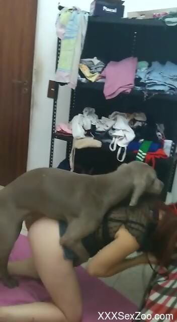 Fine amateur girl shoves dog's penis hard in her wet cunt