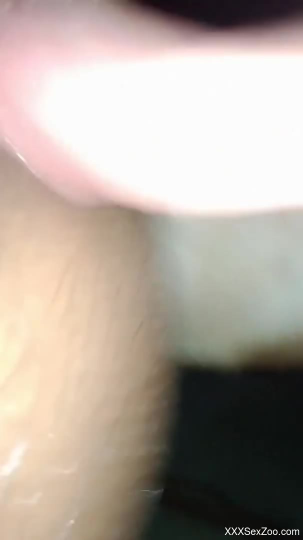 Juicy pussy showcased in a closeup zoophilia vid