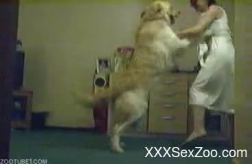 Horny dog jumps on top of a girl in a white dress