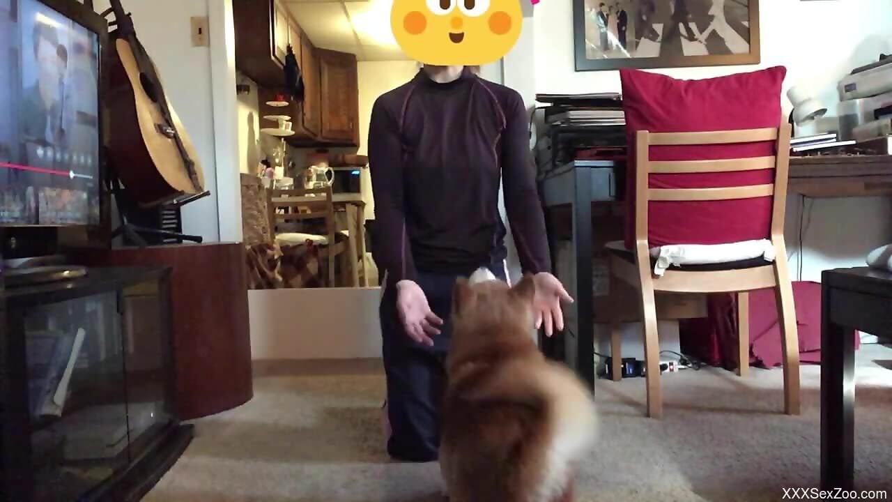 Furry dog makes horny gay male quite happy and excited