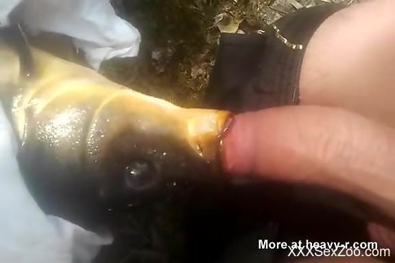 Horny guy fucking a fish in an exciting zoo porn vid