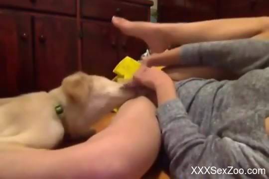 Young beauty cums while a dog licks her pussy