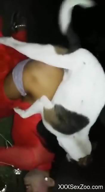 Exciting sex session dealing with a horny doggo