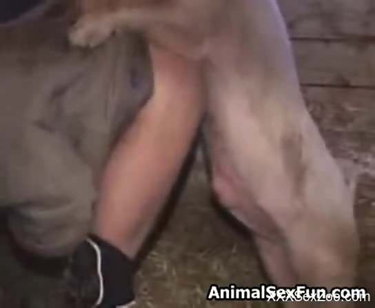 Amateur zoo porn scenes with a pig and the master
