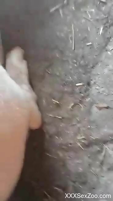 Closeup animal sex scenes reveals the dirty action