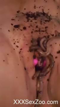 Dirty home zoophilia porn in really naughty scat scenes