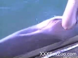 Hole of sea animal is gently stimulated by curios zoophile