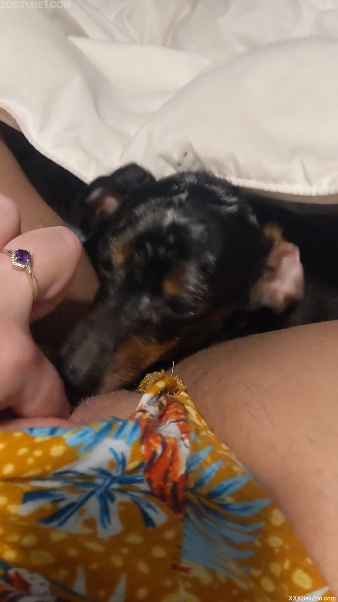 Dog causes woman huge orgasm by licking her pussy and ass