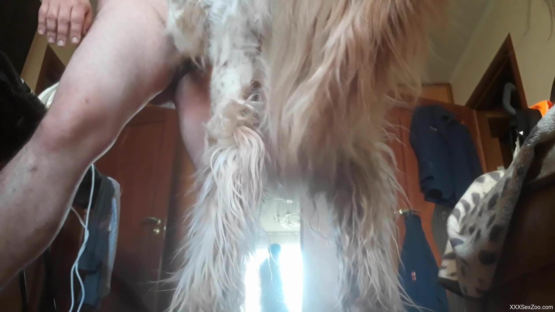 Hot and chubby dude gets his butthole licked big time