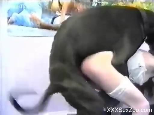 Skinny brunette dressed in white gets fucked by a dog