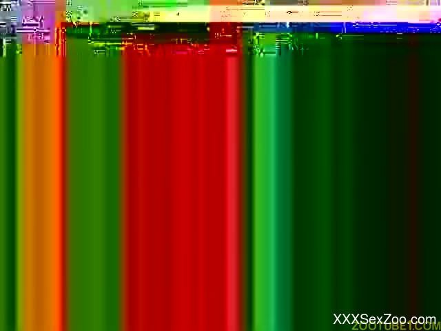 Insane scenes of amateur brutal zoo XXX porn