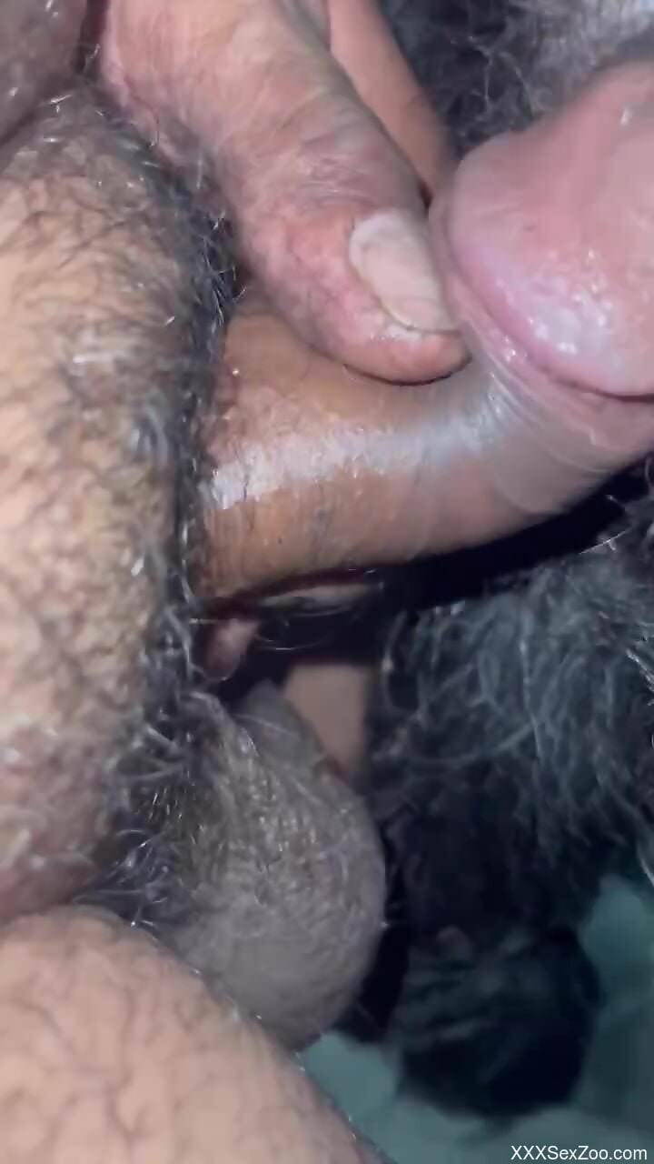 Dude uses h is throbbing boner to fuck a beast