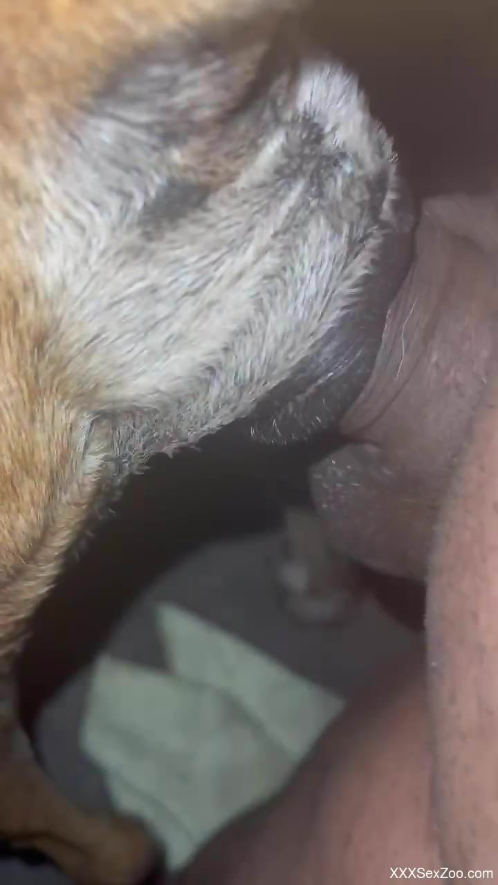 Nude man sticks his whole dong into a wet animal pussy