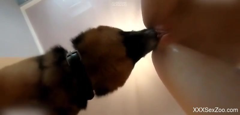 Rim job session ends with doggy style fucking