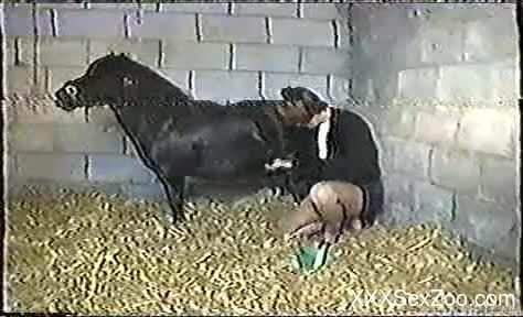 Sex in the stable with a milf and the pony