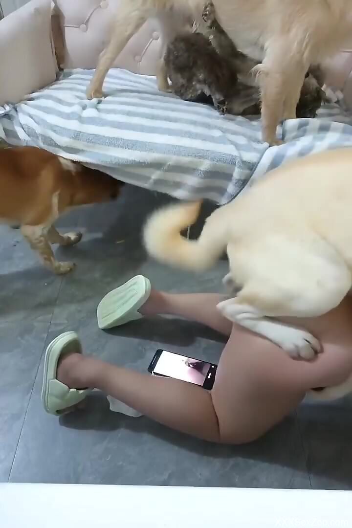 Furry dog loudly fucks nude woman in the pussy and comes on her