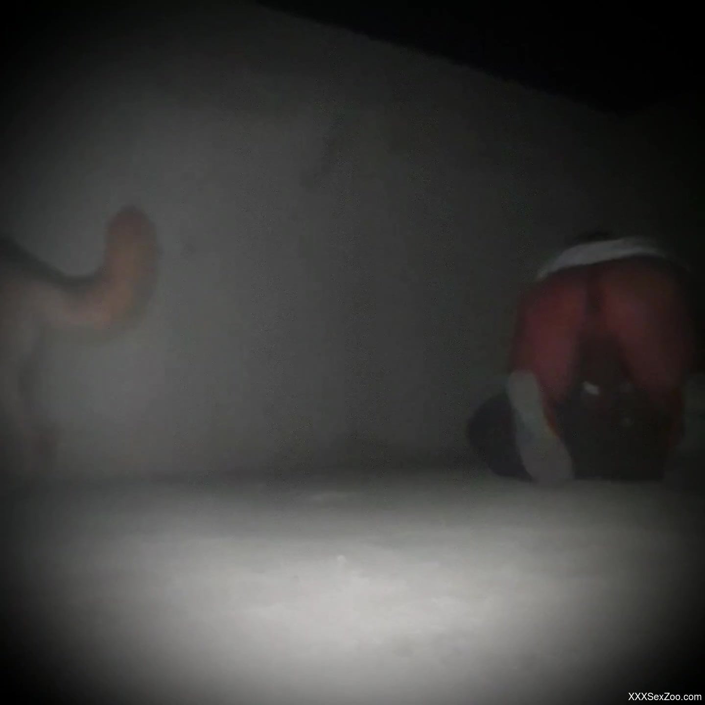 German Sheppard filmed when deep fucking the man's ass