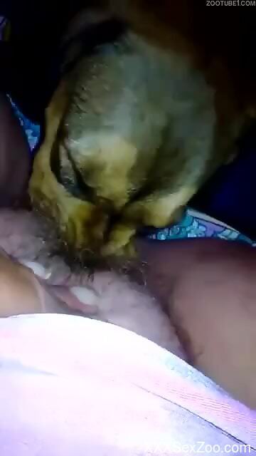 MILF lets her curious dog lick her pussy and ass on cam