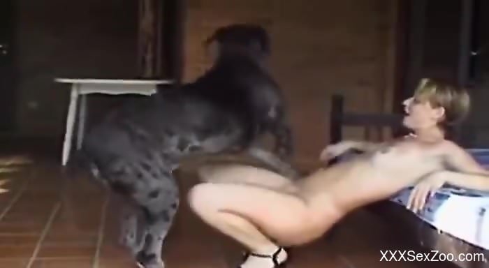 Eager bitch in heels prepping for deep dog cock gape