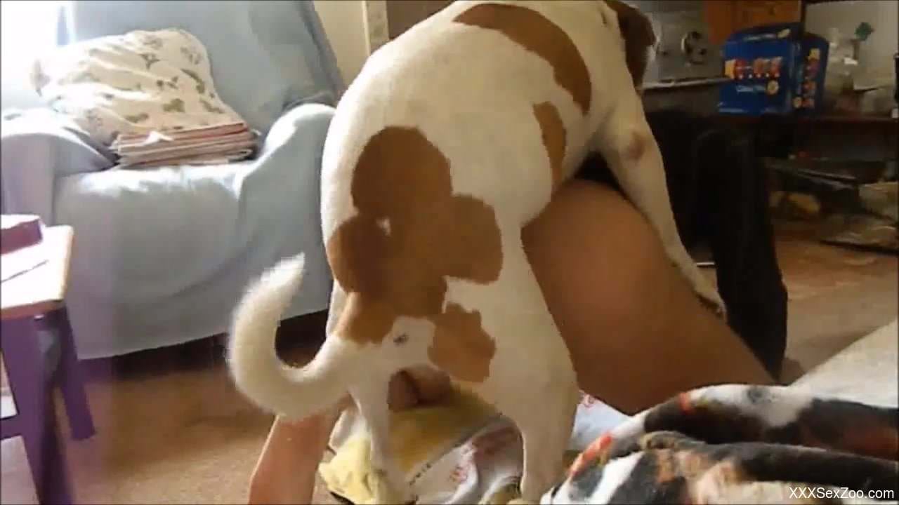 Dog quickly finds welcoming asshole of its owner