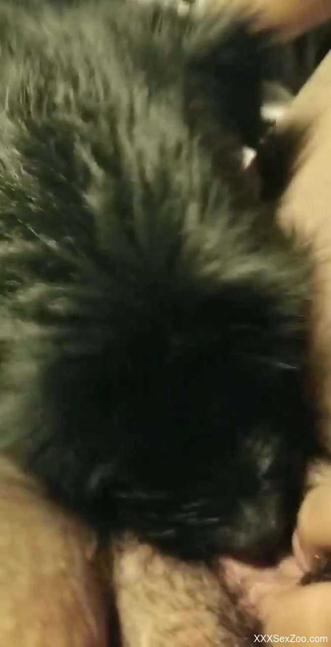Furry animal closeup sex scenes on live camera