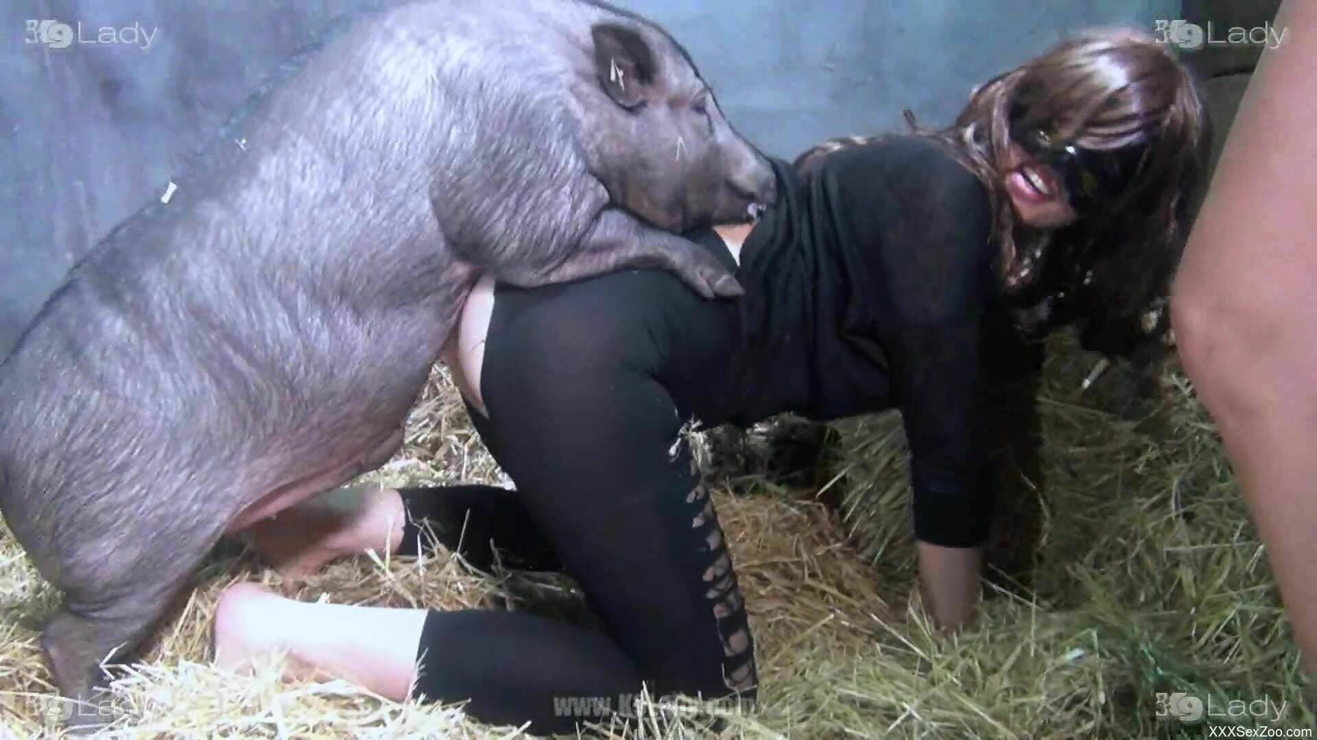 Fine slut lands animal's hard inches down her tight holes