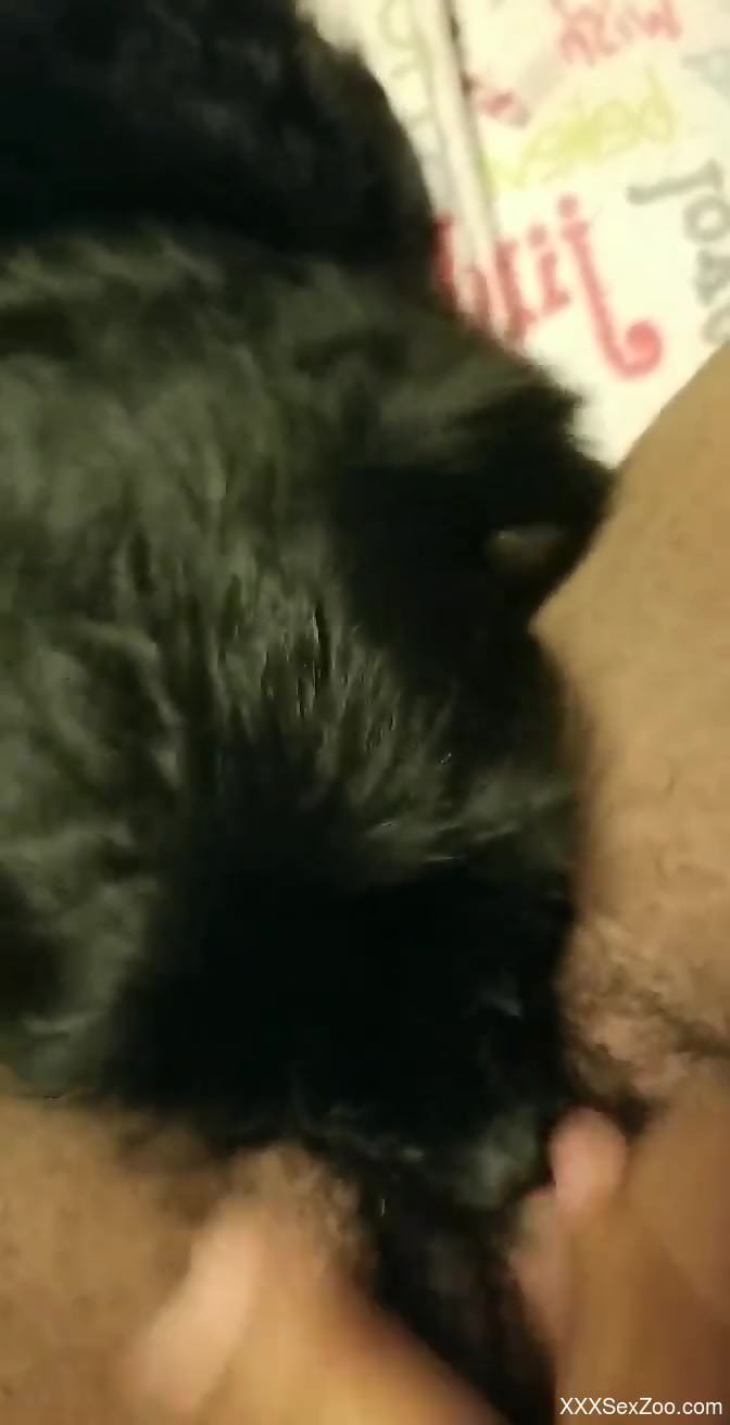 Dude's fuck session with a very sexy black animal