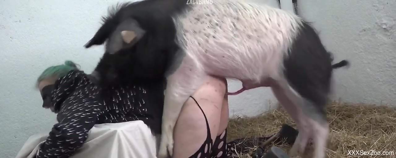 Sexy pig fucker getting banged by a sexier pig
