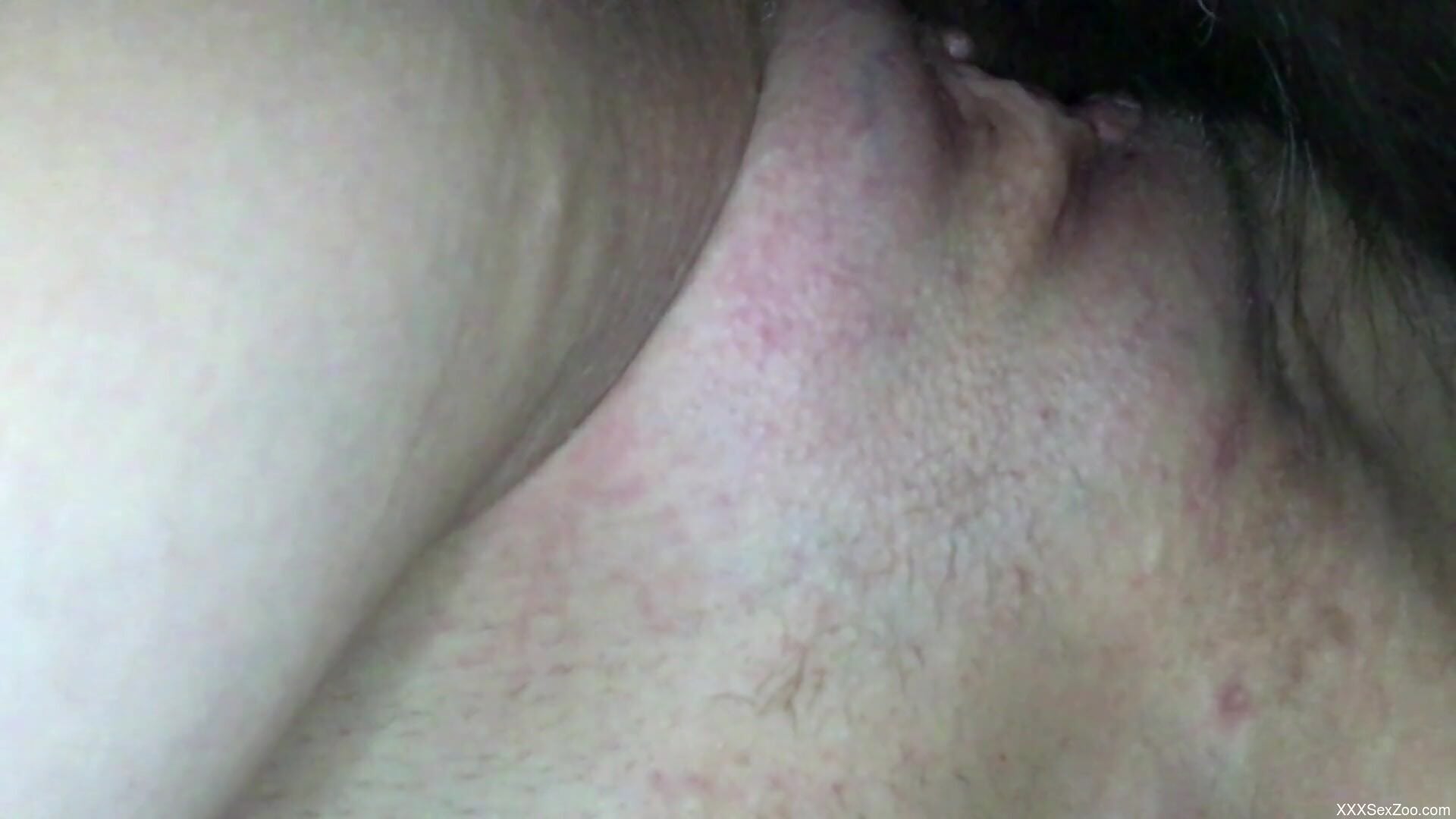 Steamy moments for a hot chick when she gets fucked by a dog