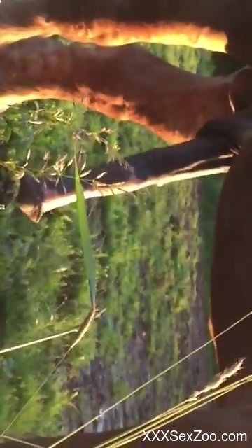 Hot pornographic scene with a really large horse cock