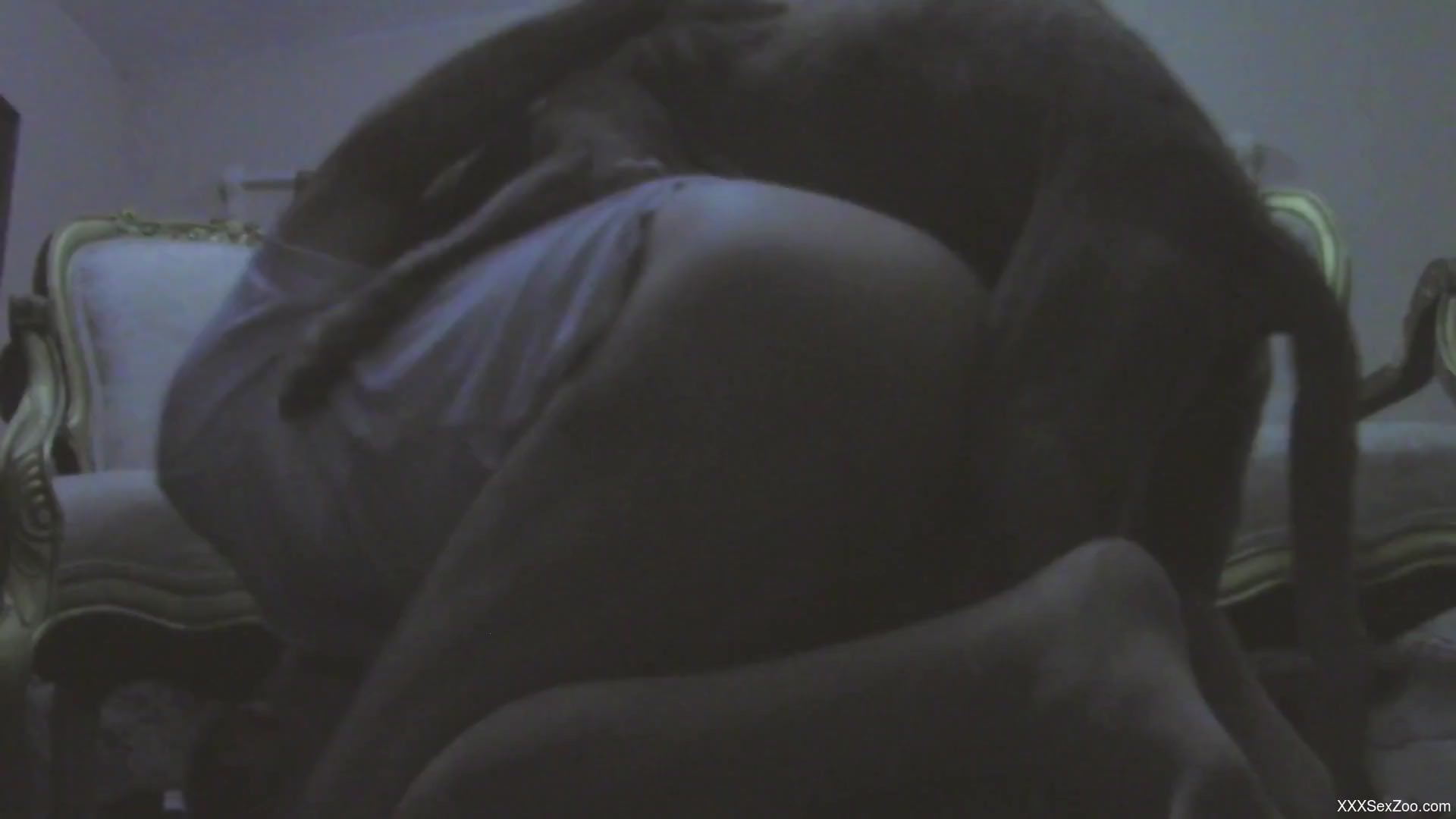 Nighttime bestiality romp with a big booty housewife