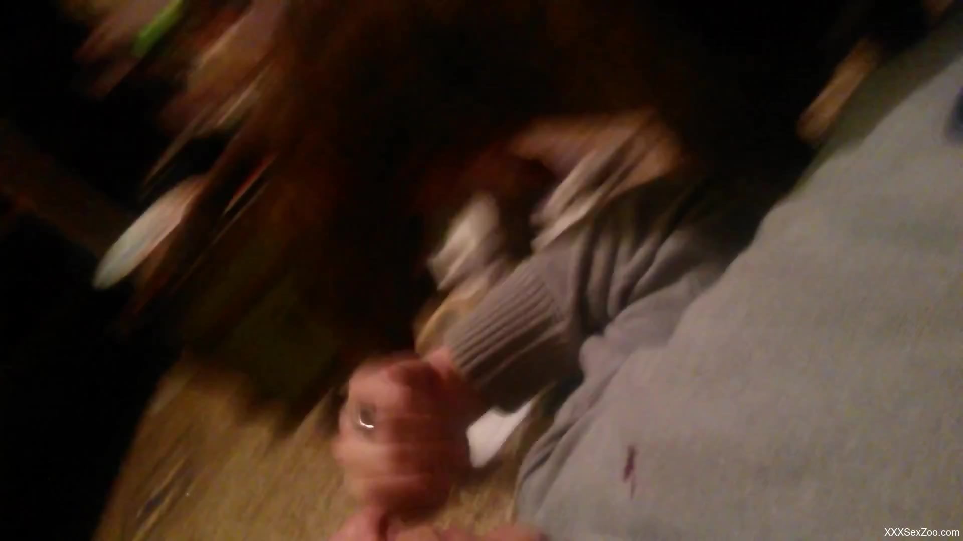 Aging twink sucking his dog's big dick on the floor