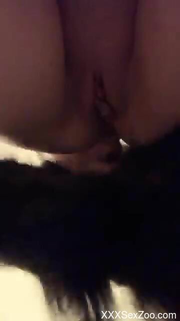 Nude mature shares homemade closeup when the dog fucks her