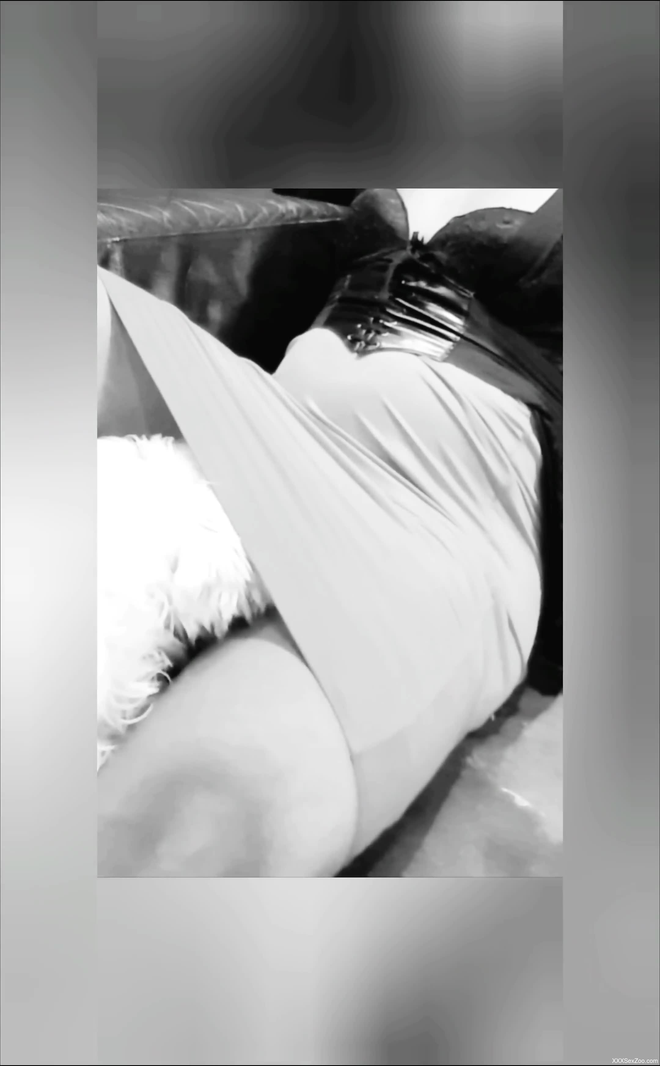 Tight female leaves the furry mutt lick her in a sexy mode