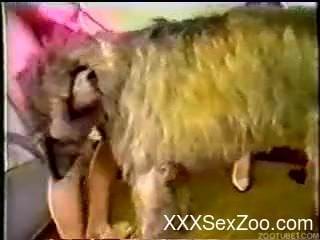 Redhead makes her dog fuck the teen with perky tits