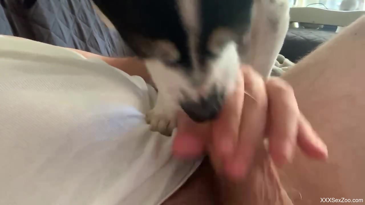 Dude with an uncut cock is going to enjoy a BJ