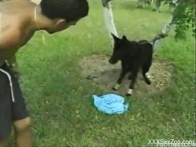 Curvy ass wife forced to have sex with the dog too