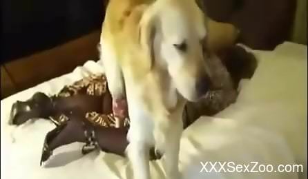 Dashing home porn with a fine blonde and her furry friend
