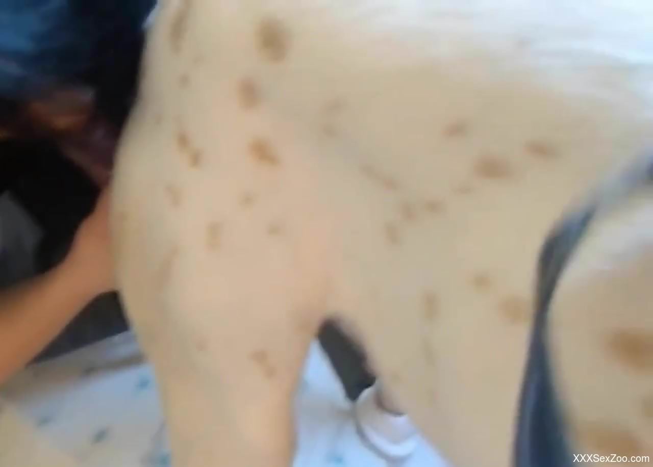 Brunette in a skintight dress blows a sexy dog